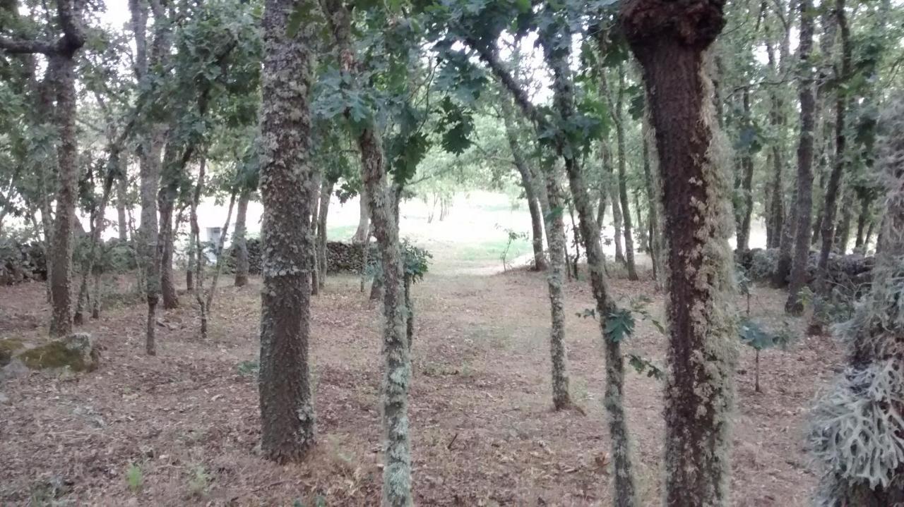 Las Casitas De Las Arribes 호텔 Aldeadávila de la Ribera 외부 사진